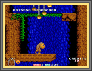 This is a screenshot of the game Toki, in which a man gets turned into an ape and must save his girlfriend from the clutches of evil. It's a proto-typical [though very difficult] platformer. Here, Toki must ascend a vine and shoot a mid-level boss to proceed.